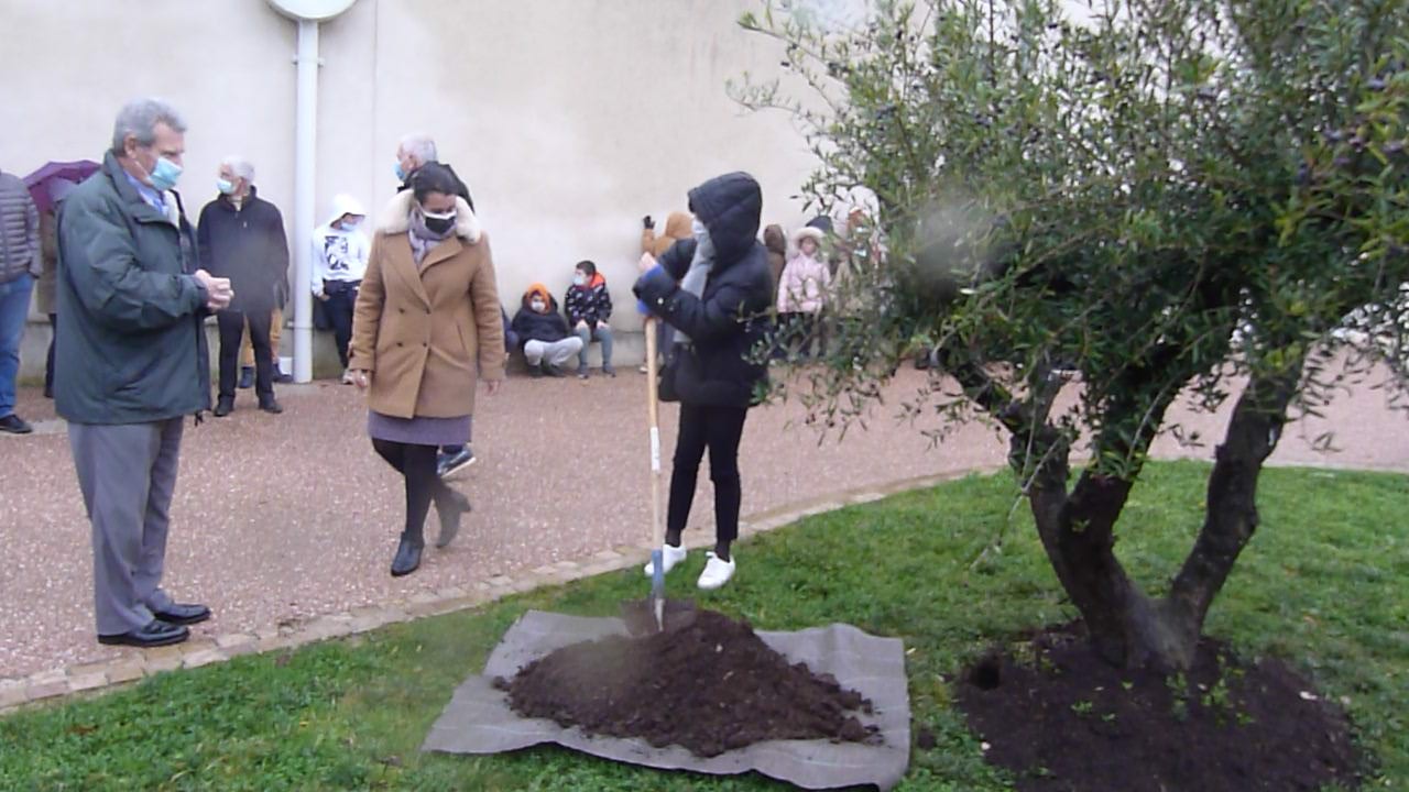 Plantation de l'arbre de la Laïcité en 2021  par Mme  la sous-préfète de Mirande