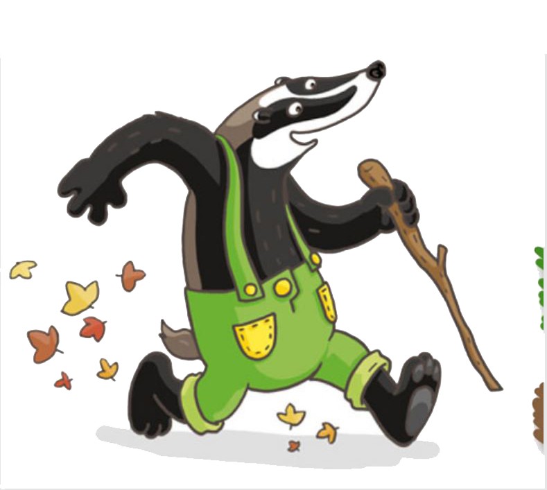 rolando.JPG