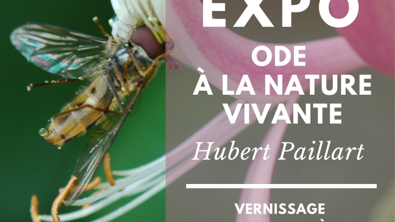 Vernissage de l' exposition photographique  " Ode à la nature vivante"