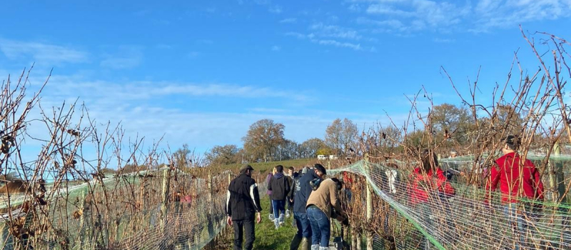 Les vignerons ont vendangé un sacré nectar d'hiver