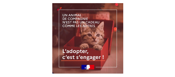 Capture d’écran 2022-12-28 151733.png