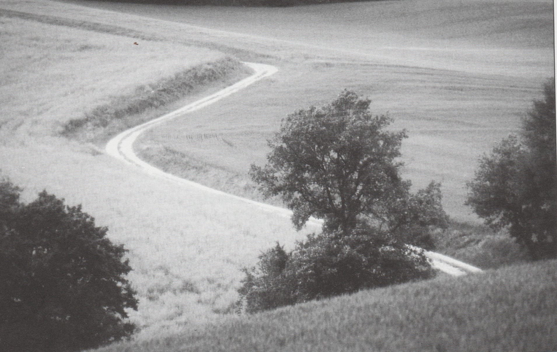 chemin 2.jpg