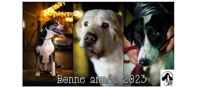Capture d’écran 2023-01-02 223848.png