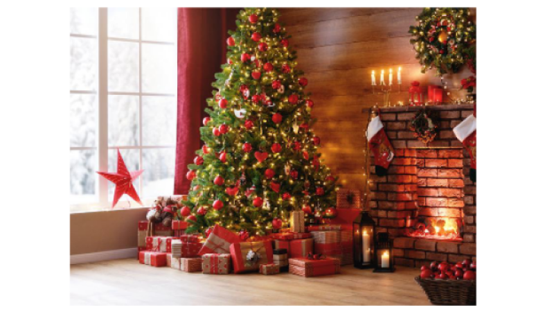 La seconde vie de vos sapins de Noël  !