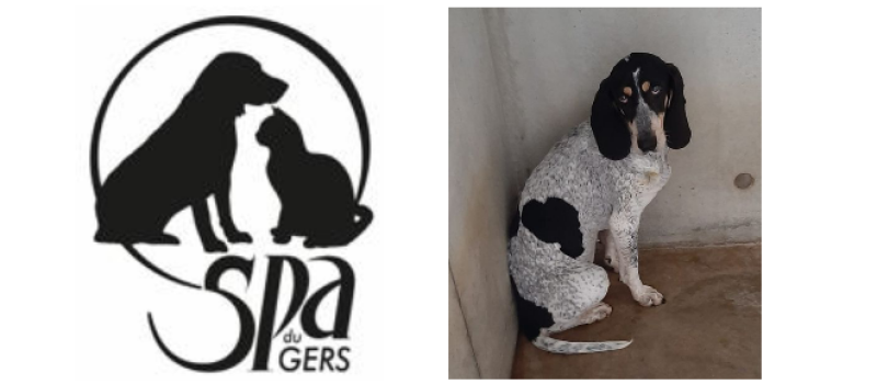 SOS pour Arya !