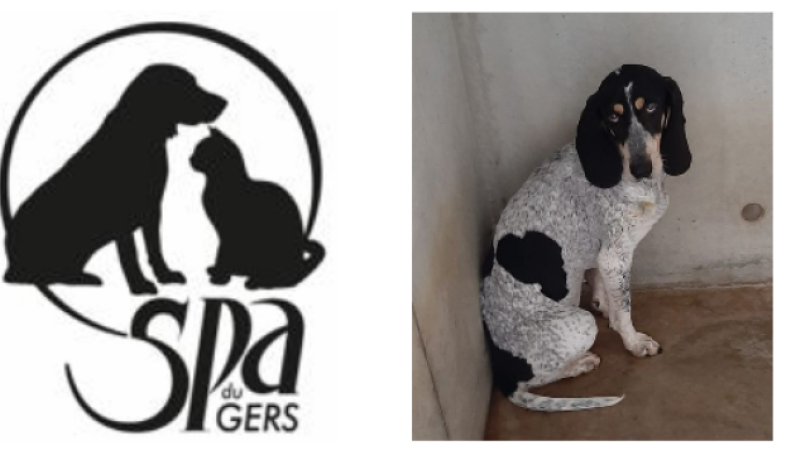 SOS pour Arya !