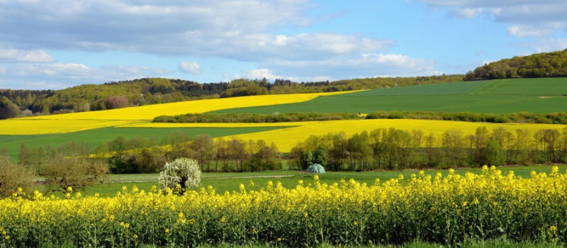 La Région apporte des aides pour soutenir bio et transition agroécologique