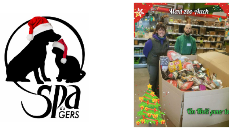Belle réussite de l'opération "Un Noël pour tous" chez Maxi Zoo Auch !