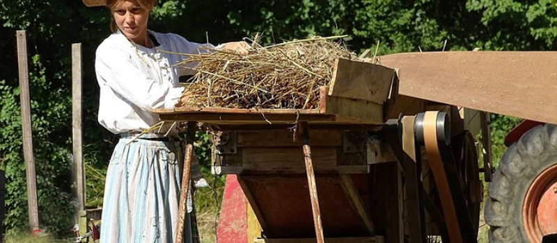 Fêtes et traditions en Gascogne