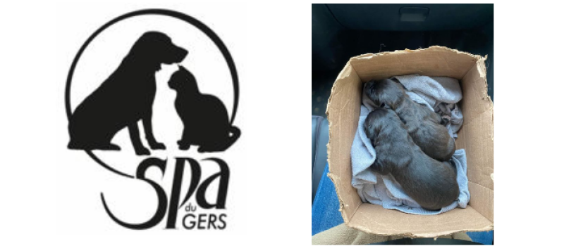 Le coup de  colère de la SPA...