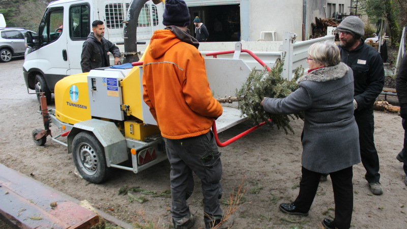 La seconde vie pour votre sapin de noël