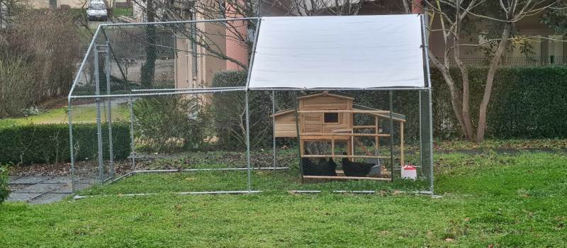 Quand les poules noires de Gascogne s'invitent à l'EHPAD de Vic-Fezensac...