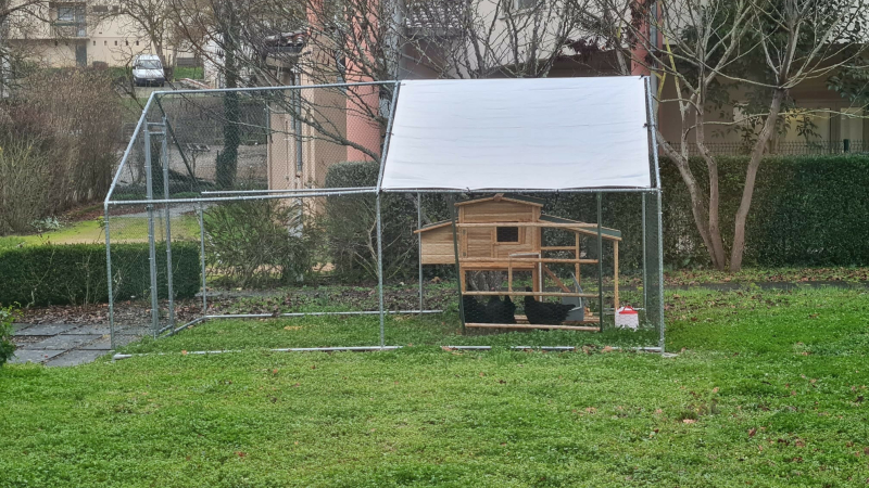 Quand les poules noires de Gascogne s'invitent à l'EHPAD de Vic-Fezensac...