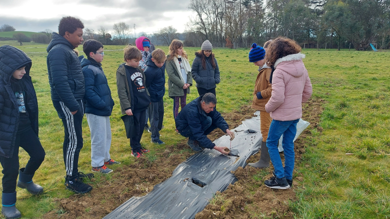 A Cauderon, les collégiens plantent des haies !