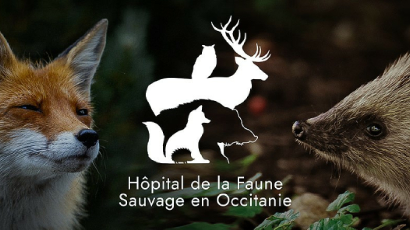 Un centre de soins pour la faune sauvage locale bientôt dans le Gers !