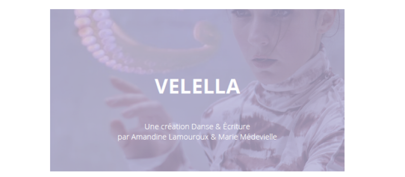 "Velella" résidence de création à Samatan
