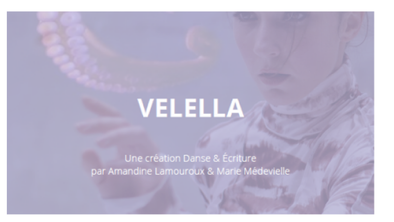 "Velella" résidence de création à Samatan