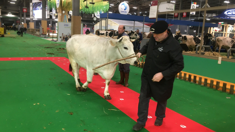 Mimosa n'a pas raté son entrée au 59 ème Salon de l 'A griculture