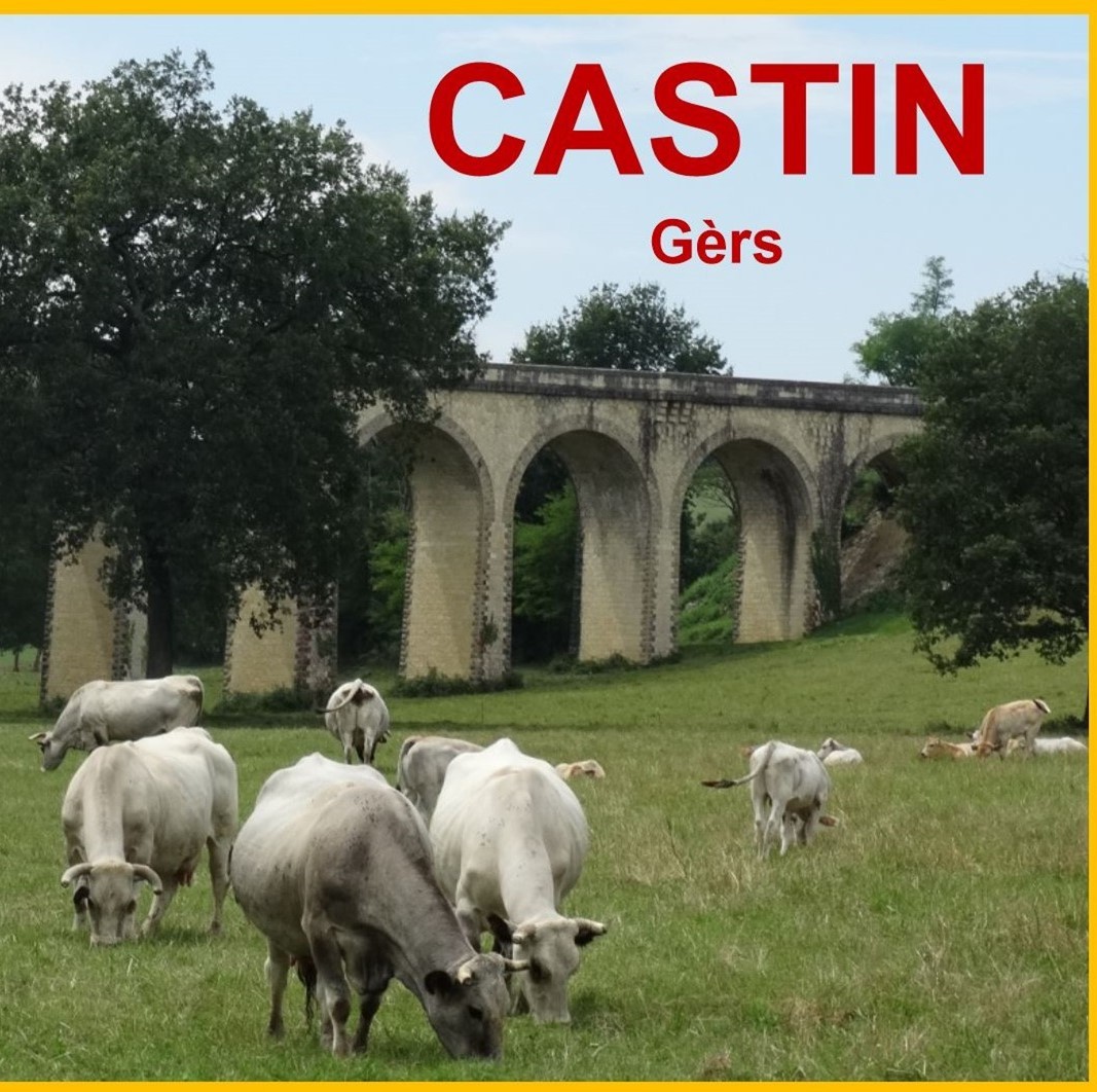 Castin.jpg