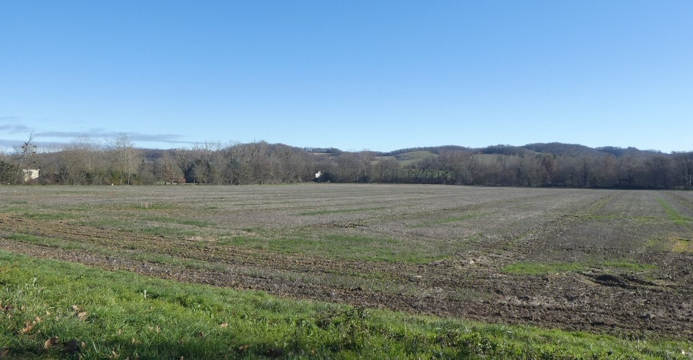 Pourquoi bétonniser des terres agricoles , particulièrement fertiles ?