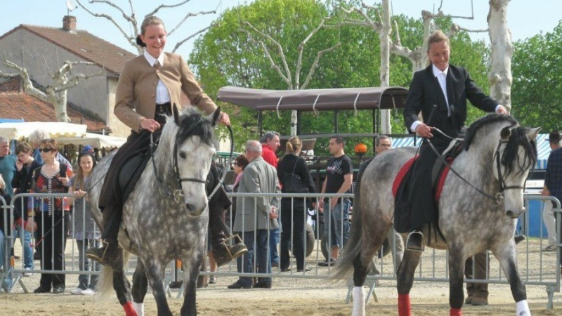 C'est le retour de la foire aux chevaux !