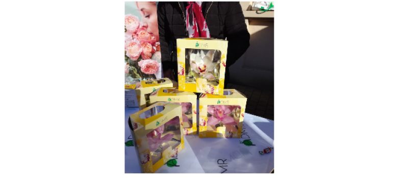 Campagne de solidarité de l'ADMR 32 : la Journée Fleurs