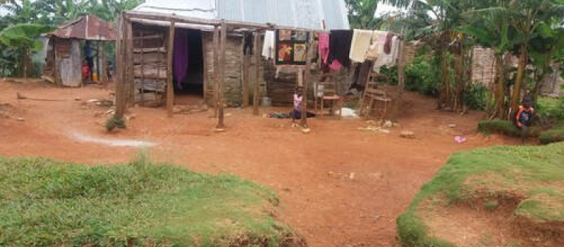 Communiqué de l'association Haïtimoun