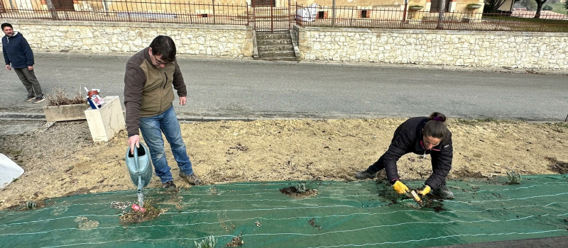 Ça pousse à Roquebrune !