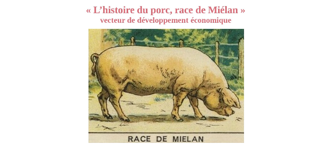 Capture d’écran 2023-03-16 212049.png