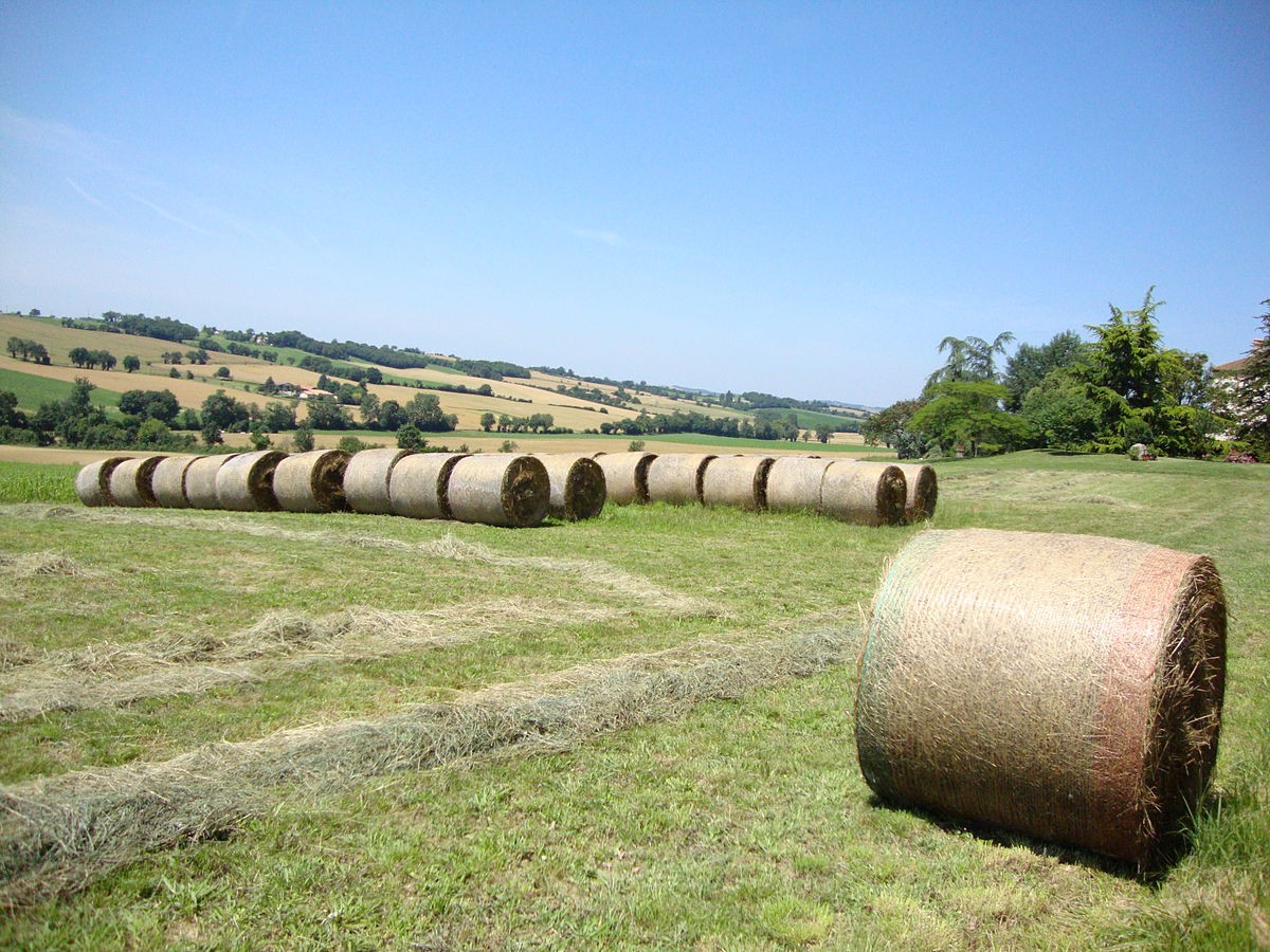 1200px-Juilles_(Gers,_Fr)_paysage_1.jpg