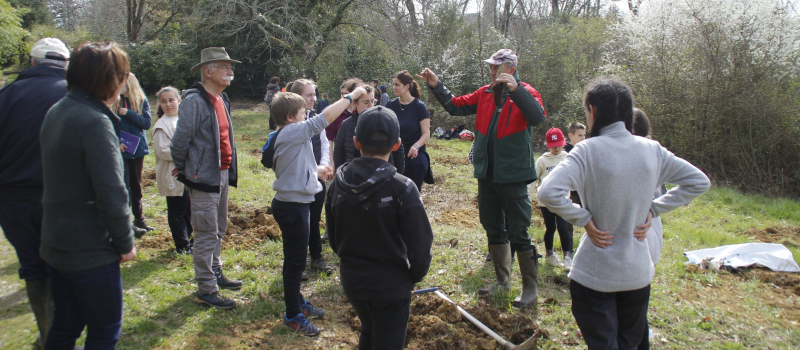 journée internationale des forêts