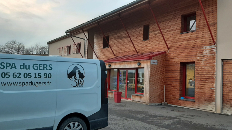 La SPA du Gers fête son 66 ème anniversaire : retour sur son histoire
