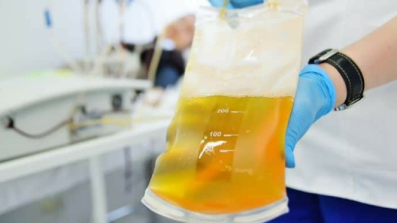 Un mois d’avril pour (re)découvrir le don de plasma