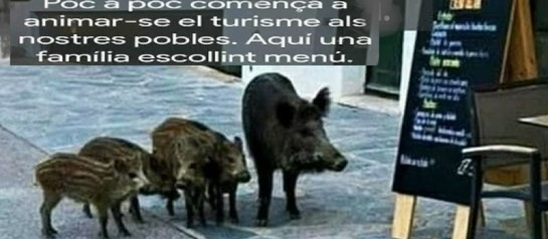 Clin d'œil aux nouveaux touristes !