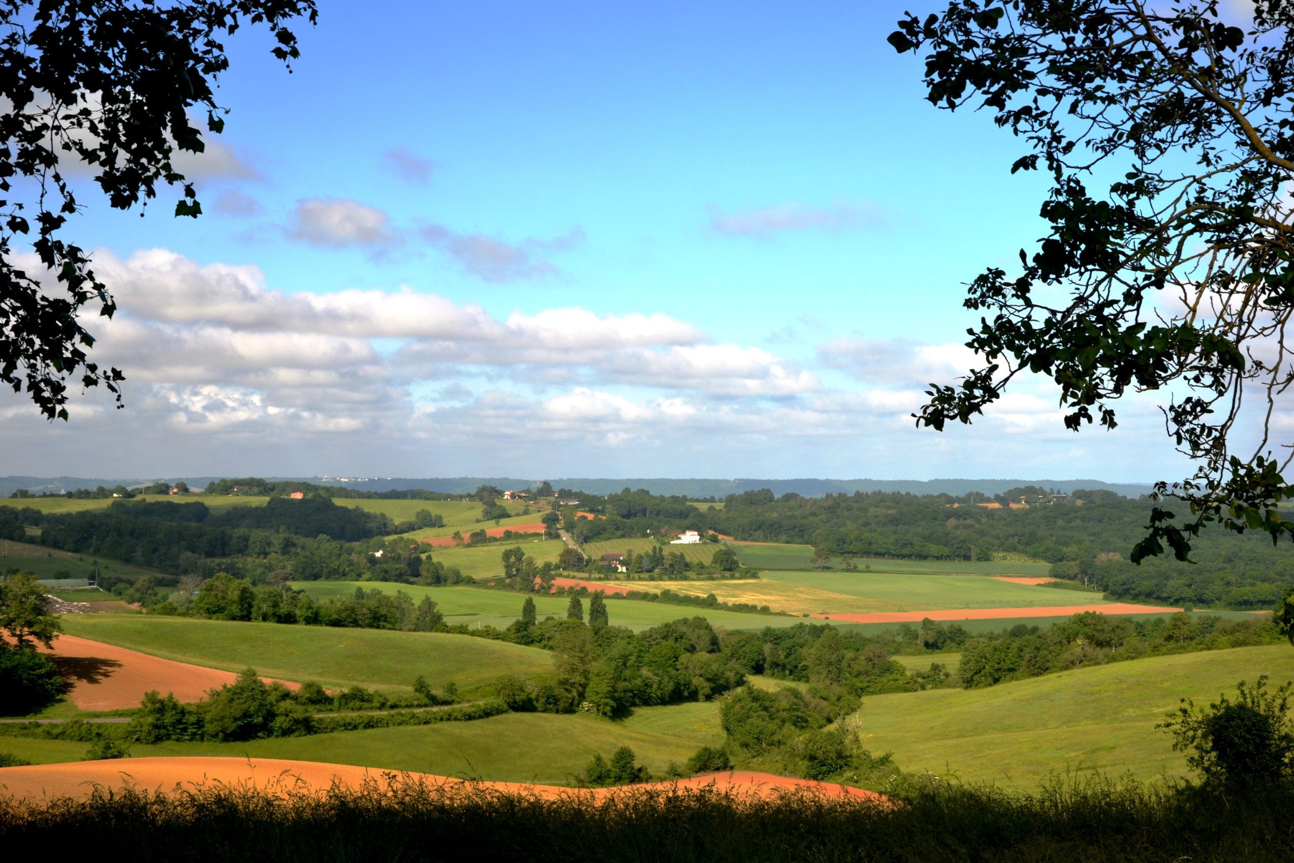 Couloume-Mondebat_Vue_du_paysage_agricole_du_Gers-scaled.jpg