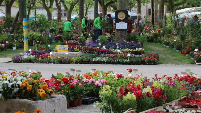 Le marché aux fleurs de Fourcès.