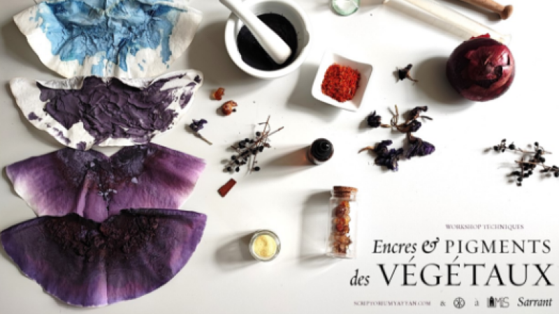 Un stage exceptionnel en mai à la maison de l'illustration