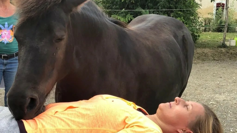 Puissance des chakras, douceur du cheval. Quand  calme  et sérénité s'apprennent