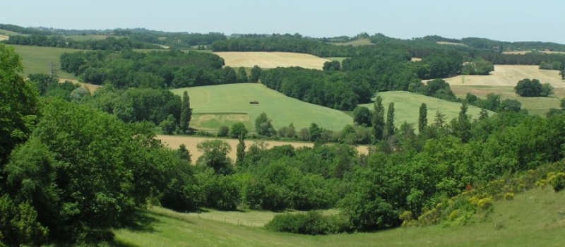 Le changement climatique et vous