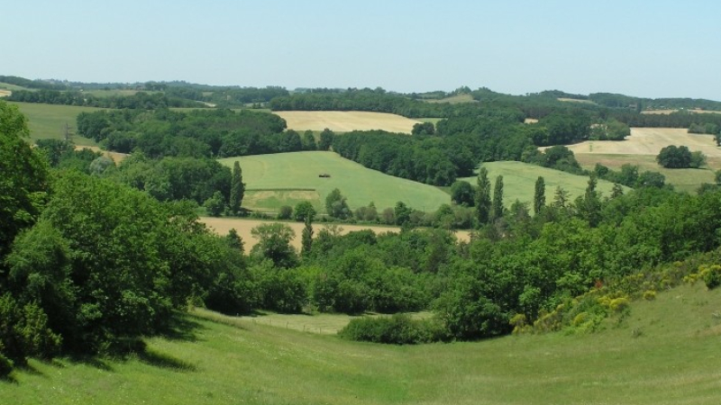 Le changement climatique et vous