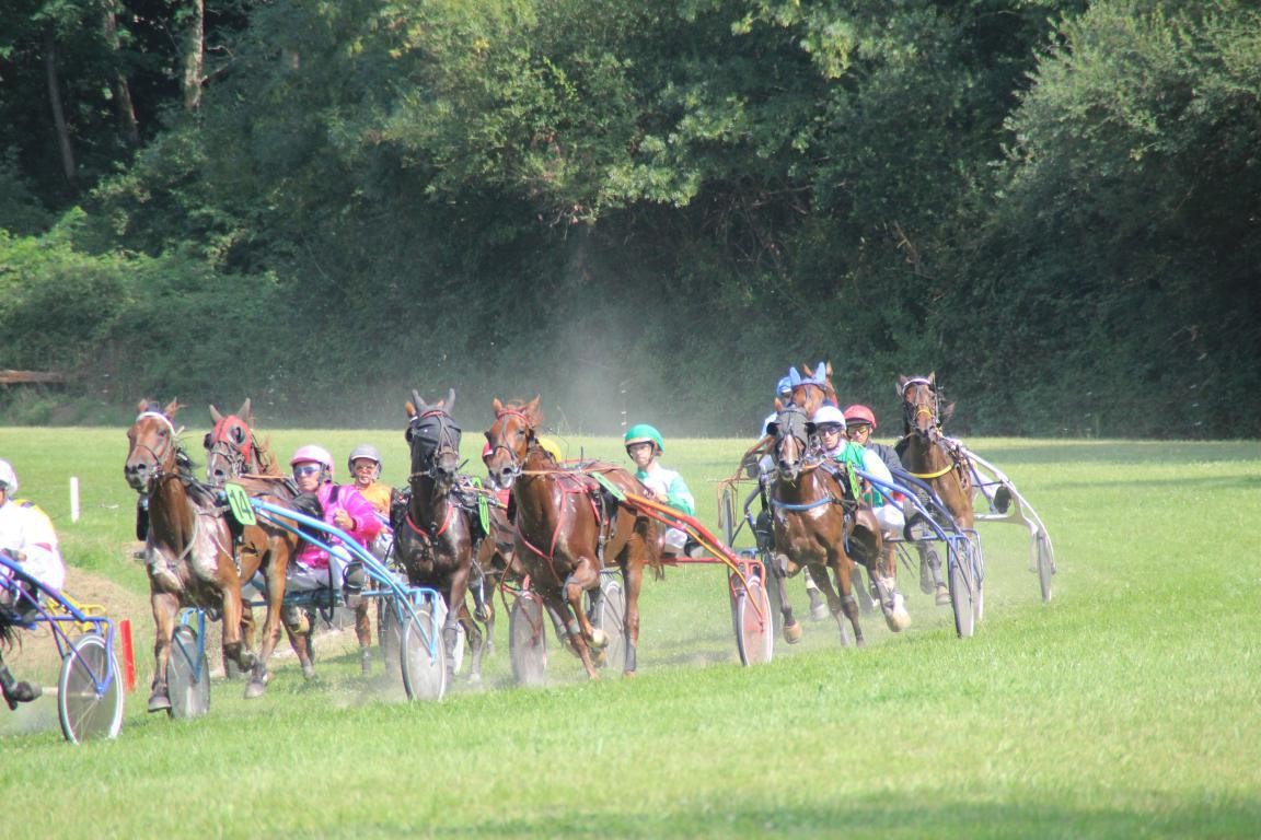 Une journée à l’hippodrome