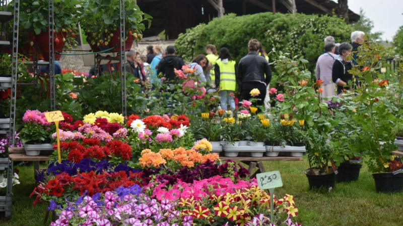 Profiter de dimanche pour visiter le Marché aux fleurs