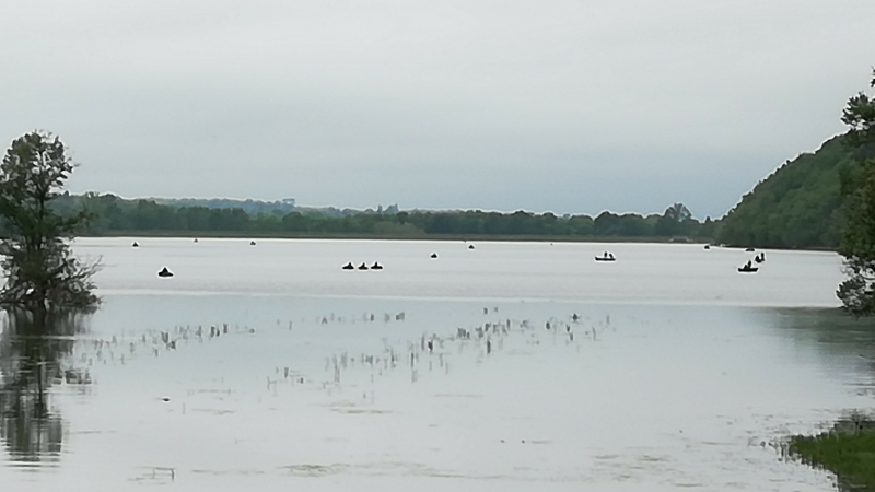 Petits bateaux qui vont sur l’eau