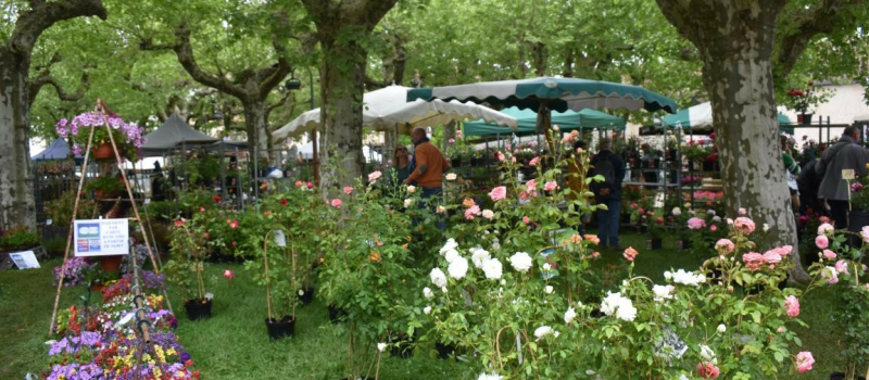 Le parterre magique de Fourcès