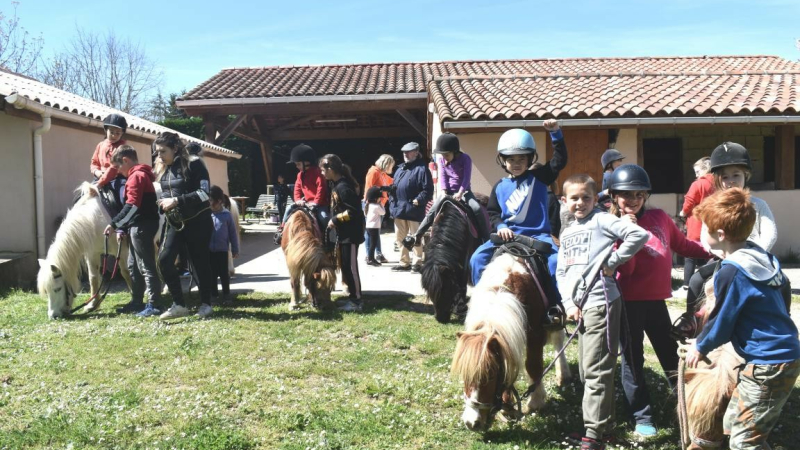 Une journée merveilleuse au poney club