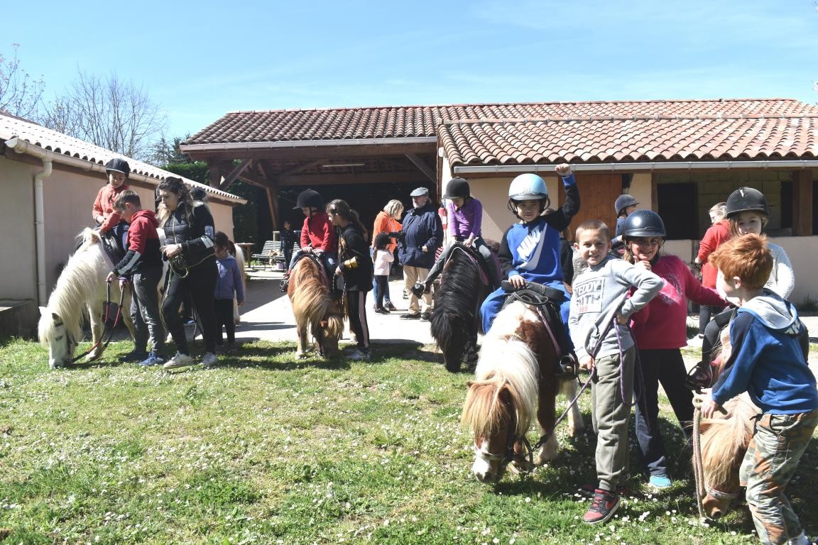 Après la première appréhension, les enfants confiants ont brossé les poneys.