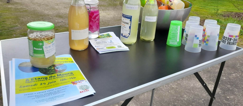 Plantations et eaux florales avec le collectif OASIS !