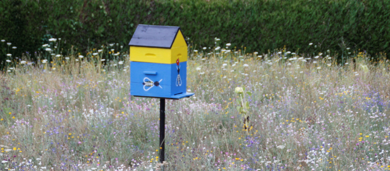 Un choix dans la biodiversité