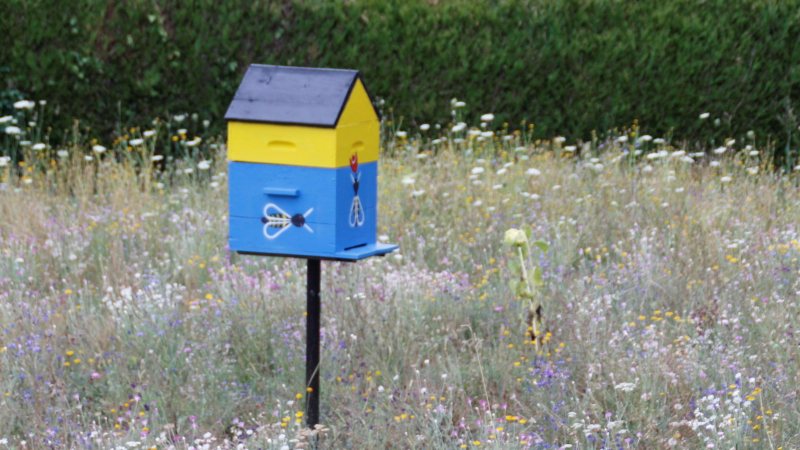 Un choix dans la biodiversité