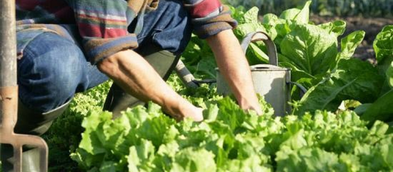 Fond d'urgence pour le secteur de l'agriculture biologique